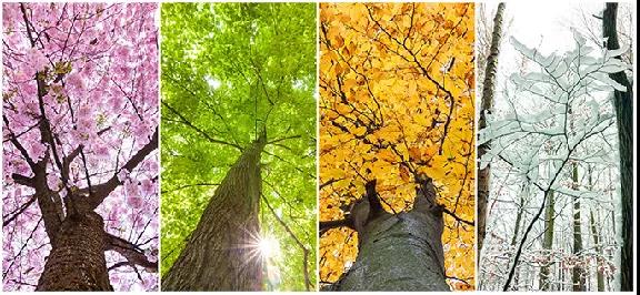 中国·银河集团9873cm(股份)有限公司-官方网站